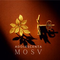 Adolescenta